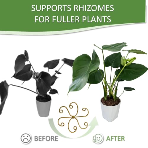 5PCS Plant Stem Support Rings for Monstera & Indoor Plants, 4.1 x 3.9 in Metal Plant Stem Holder