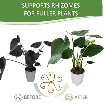 5PCS Plant Stem Support Rings for Monstera & Indoor Plants, 4.1 x 3.9 in Metal Plant Stem Holder