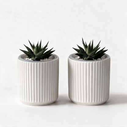 Small Ceramic self Watering Pot for Succulents, 4 inch, White,2pack - color: White, size: 4 inch