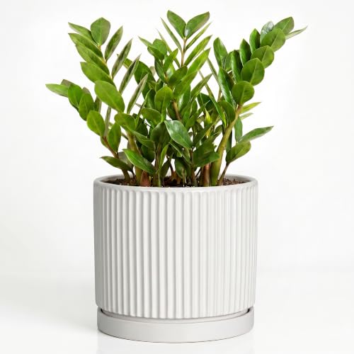 10 Inch Plant Pot, Ceramic Planters, Round Flower Pots, White - color: White, size: 10 Inch