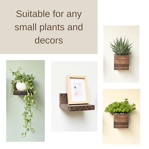 LaLaGreen Wood Planter Box for Indoor Plants (6 Pack) Hanging Wall Planters - size: 6-pc Set B