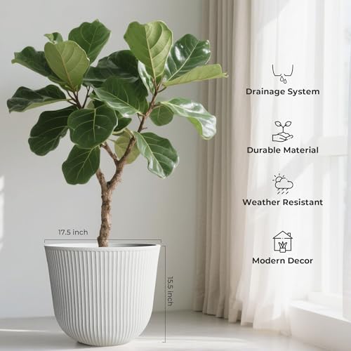 Worth Garden Plastic Round Large Planters, Set of 2 White Plant Pots - color: White, size: 2-Pack