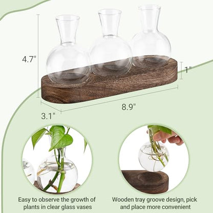 Mkono Plant Propagation Station, Desktop Glass 3 Bulb Vase Brown Wood Tray - color: Brown, size: Medium