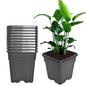 Square Nursery Pots Plant Pots Grow Pots Nursery Container for Planting Soil Plants 3.15 Gallon 10Pcs - color: Black, size: 3 Gallon