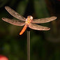 QIDEA Outdoor Solar Dragonfly Garden Stake Light Garden Patio Yard Decor - size: Dragonfly 1 pack