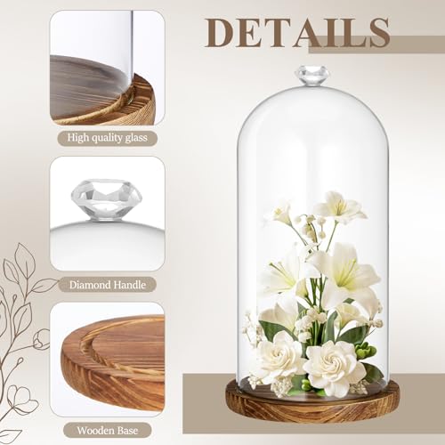 Suclain 1 Pcs 6 x 10 Inch Cloche Glass Dome with Base Bell Jar, Dark Brown - color: Dark Brown