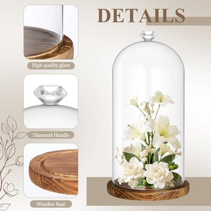 Suclain 1 Pcs 6 x 10 Inch Cloche Glass Dome with Base Bell Jar, Dark Brown - color: Dark Brown
