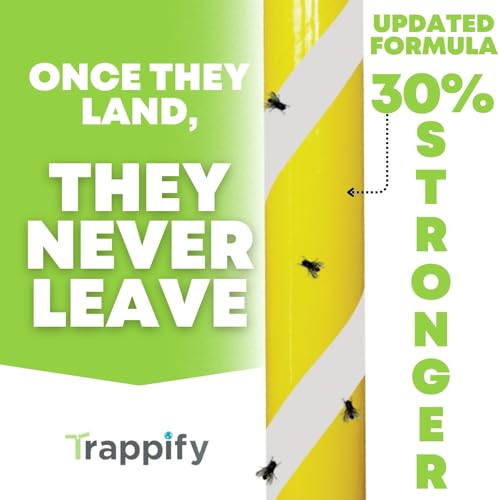 Trappify Glow-in-The-Dark Fly Trap for Indoor & Outdoor Fly Sticks (2 Pack)