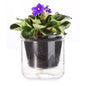 4 Inch Glass Plant Pot for Indoor Plants,Home Table Decoration