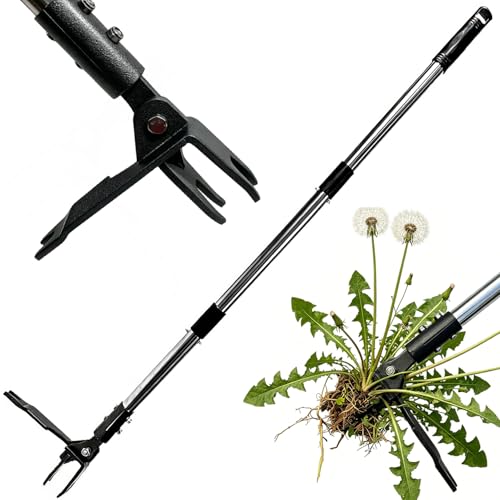 Weed Puller Tool, Heavy Duty Stand Up Weeder Tool with Long Stainless Steel Handle & Steel Head, Weeding Tool with Adjustable Handle, Easily Remove Weeds Without Bending, Pulling or Kneeling - size: 4 Claw Large