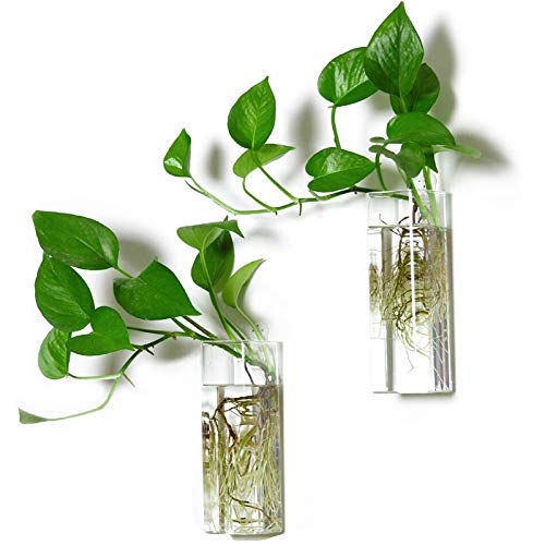 Square Glass Propagation Vase 2 Pack, Wall Hanging Hydroponic Planter - color: Square Tube