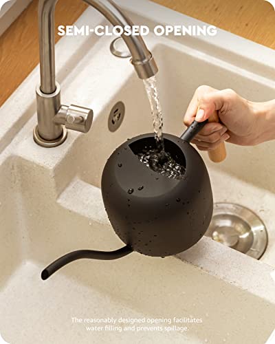 Baffect Watering Can Indoor Plants with Long Spout, 1.2L / 41oz (Black) - color: Black