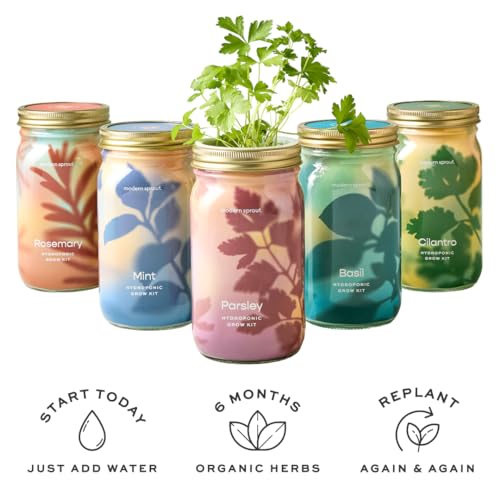 Modern Sprout Mason Garden Jar-Self-Watering Hydroponics Kit-Basil+Lavender - color: Basil + Lavender, size: Garden Jars