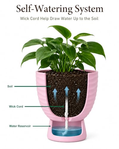 vensovo Pink Terracotta Self Watering Plant Pots, 6 and 8 Inch with Saucers - color: Terracotta2
