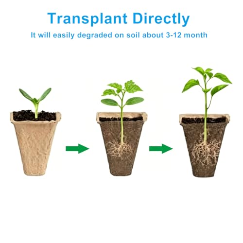 Peat Pots, 144 Cells, 12 Pcs Biodegradable Seed Starter Trays - size: 12 Cells