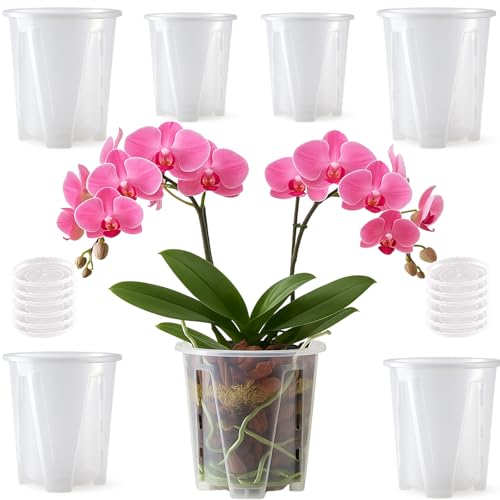 Orchid Pot 6 Pack 5.5 Inch Clear Nursery Pots for Plants with Drainage Hole - size: 5.5 Inch