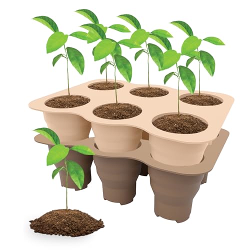 Seed Starter Trays, 2 Pack 6 Cells Seed Starter Kit, Silicone Plant Germination Trays Gardening Starter Kit, Reusable Seed Starter Tray for Plant Germination, Seeds Growing - color: 2 Pack 6 Cells