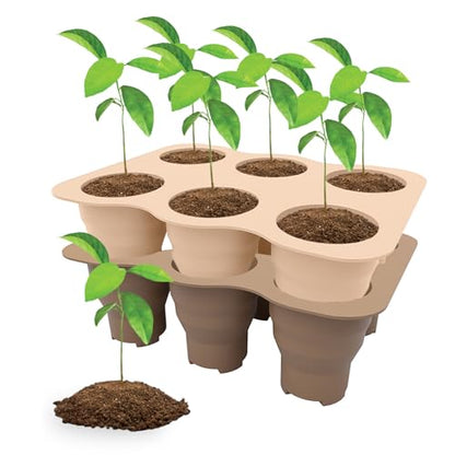 Seed Starter Trays, 2 Pack 6 Cells Seed Starter Kit, Silicone Plant Germination Trays Gardening Starter Kit, Reusable Seed Starter Tray for Plant Germination, Seeds Growing - color: 2 Pack 6 Cells