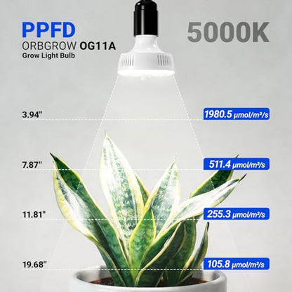 Barrina OG11A2 Clip On Grow Light for Indoor Plants, 5000K 22W(2 x 11W)