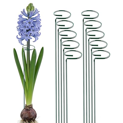 10 Pieces 16 inch Green Single Stem Plant Stakes Garden Plant Support Rings Flower Support Hoops Prop for Amaryllis Orchid Lily Rose Peony - color: Green-16-inch 10pack
