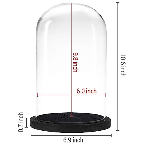 MyGift Bell Jar Glass Cloche Black Wood Base 10 Inch Display Dome - color: Black