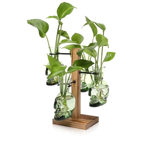Plants Propagation Stations Skull Glass Propagation Birthday Gift for Women - color: Green