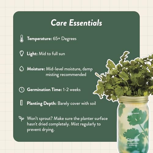 Modern Sprout Mason Garden Jar - Self-Watering Hydroponics Kit - Cilantro - color: Cilantro, size: Garden Jars