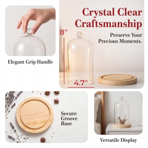 Lyellfe 2 Pack Cloche Glass Dome with Rustic Wooden Base