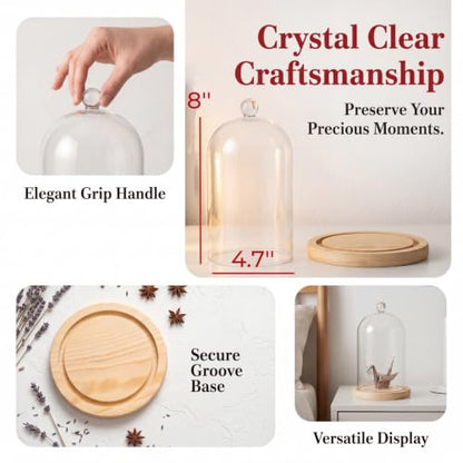 Lyellfe 2 Pack Cloche Glass Dome with Rustic Wooden Base