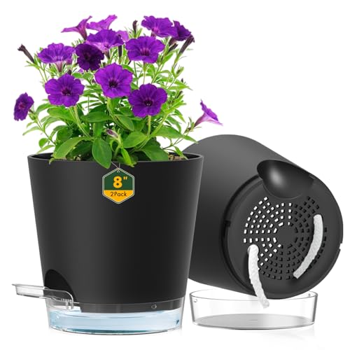 Meowell 8 inch Self Watering Pots for Indoor Outdoor Plants, 2 Pack Flower Plant Pots with Drainage Holes & Clear Reservoir for Visible Water Level, Plastic Wicking Planters for House Plants, Black - color: Black, size: 8 in 2pcs