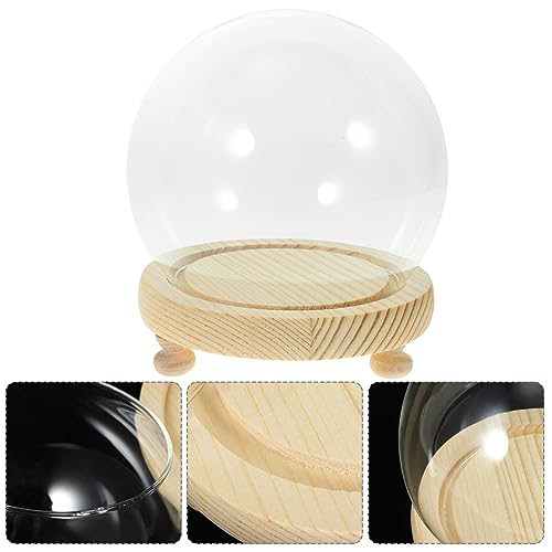 HOMSFOU Glass Dome Display Case 4.72 Inch Clear Spherical Cloche with Base for Diy Micro Landscape Preserved Flower Display and Home Decor