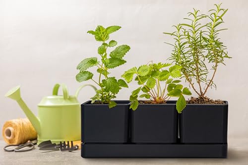 D'vine Dev Plastic Herb Garden Planter Set, Black, 76-V-B-1 - color: Black, size: 12"