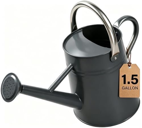 1.5 Gallon Large Watering Can for Outdoor&Indoor Plants - color: Gray