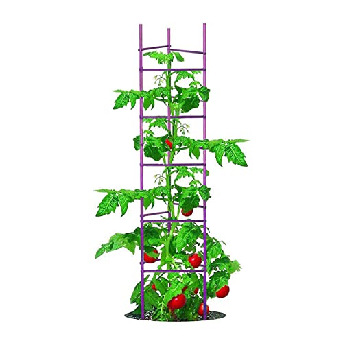 Growsun Large Tomato Cage 6 Pack Upto 73 inch Tall Tomato Trellis Garden Stakes Plant Support,Purple(5ft Stake add 18 inch Adjustable Stakes) - color: Purple, size: 6-Ft 6-Pack