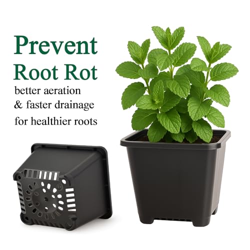 25 Packs Square Nursery Pots for Plants 5.5 Inch Seedling Pots with Holes - size: 5.5 Inch