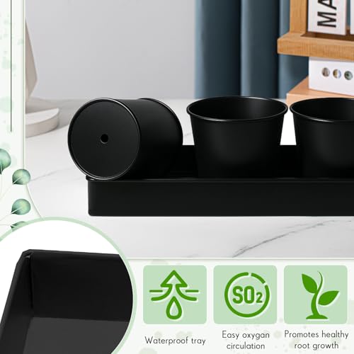 FoldTier 2 Sets Indoor Herb Garden Planter Kit with 10 Metal Pots, Black - color: Black