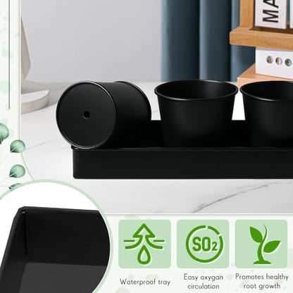 FoldTier 2 Sets Indoor Herb Garden Planter Kit with 10 Metal Pots, Black - color: Black