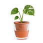 D'vine Dev Self Watering Terracotta Planter Pot, 4 in, 37-X-A-1 - color: Terracotta, size: 4 Inch