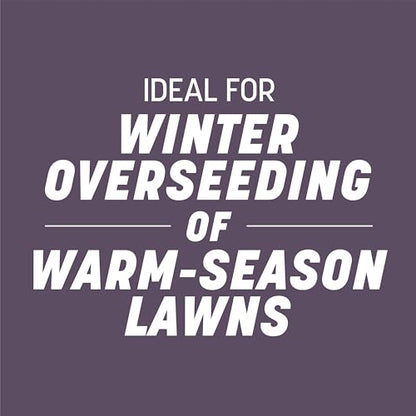 Pennington Annual Ryegrass, Grass Seeds for Lawn, 25 Lb - size: 25 lb