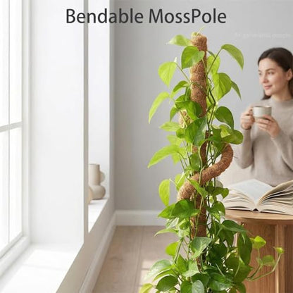 63" Moss Pole Monstera Plant Support Plant Stakes for Indoor Plants