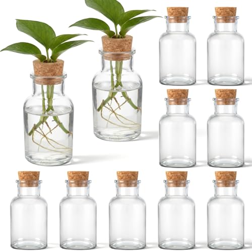 12 Pack Glass Plant Propagation Stations, Cylindrical - style: Cylindrical