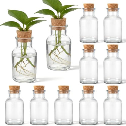 12 Pack Glass Plant Propagation Stations, Cylindrical - style: Cylindrical