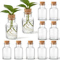12 Pack Glass Plant Propagation Stations, Cylindrical - style: Cylindrical