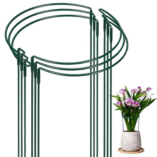 6 Pack 10" W x 16" H Plant Half Round Metal Support Stakes