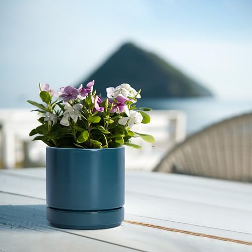 D'vine Dev 4-Pack Ceramic Pots with Saucers, Teal, 4.7 in, 94-X-B-9 - color: Teal, size: 4.7 Inch