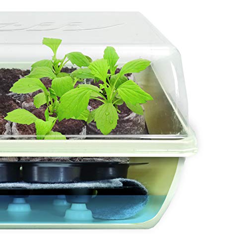Jiffy Seed Starter Tray Kit, Self-Watering, Seedling Tray, 4 Pack - size: 4 Pack