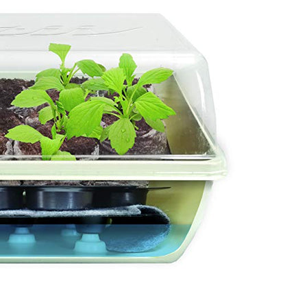 Jiffy Seed Starter Tray Kit, Self-Watering, Seedling Tray, 4 Pack - size: 4 Pack