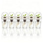 6 Pack Clear Hydroponic Nursery Pots with Humidity Dome for Seed Starting - color: Transparent-6 Pack