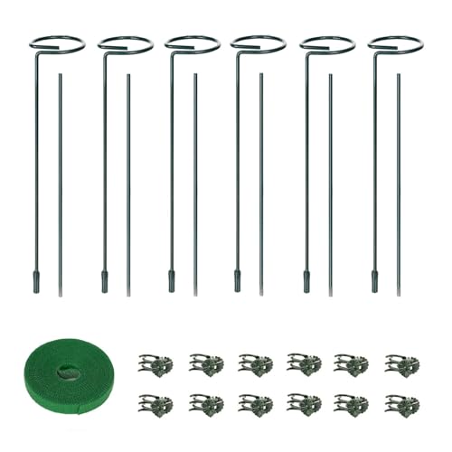 6 Packs Plant Support Sticks for Indoor Plants, Two Sizes (12 or 24 Inches) Orchid Stick and Clip, 0.18 inch Thicker Support Stake with Plant Ties and 12 Pcs Plant Clips for Flowers - size: 24 Inch - 6 Pack