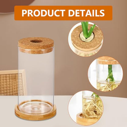 6 Pcs Plant Propagation Terrarium Glass Vase Containers